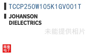 TCCP250W105K1GV001T ͼƬ